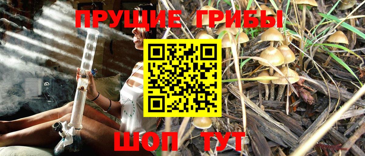 Галлюциногенные грибы GOLDEN TEACHER  Вход с VPN  Рассказово 